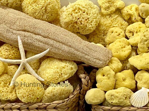 Hunting Stones Natural Sea Sponge