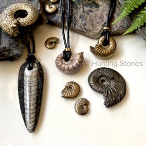 Fossil Jewellery