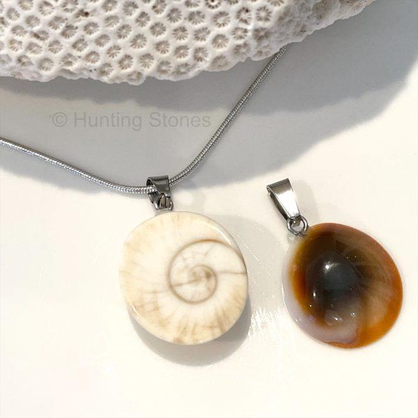 Shiva Shell Necklace