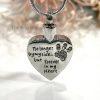 Crystal Paw Heart Memorial Keepsake Cremation Ashes Urn Pendant Necklace