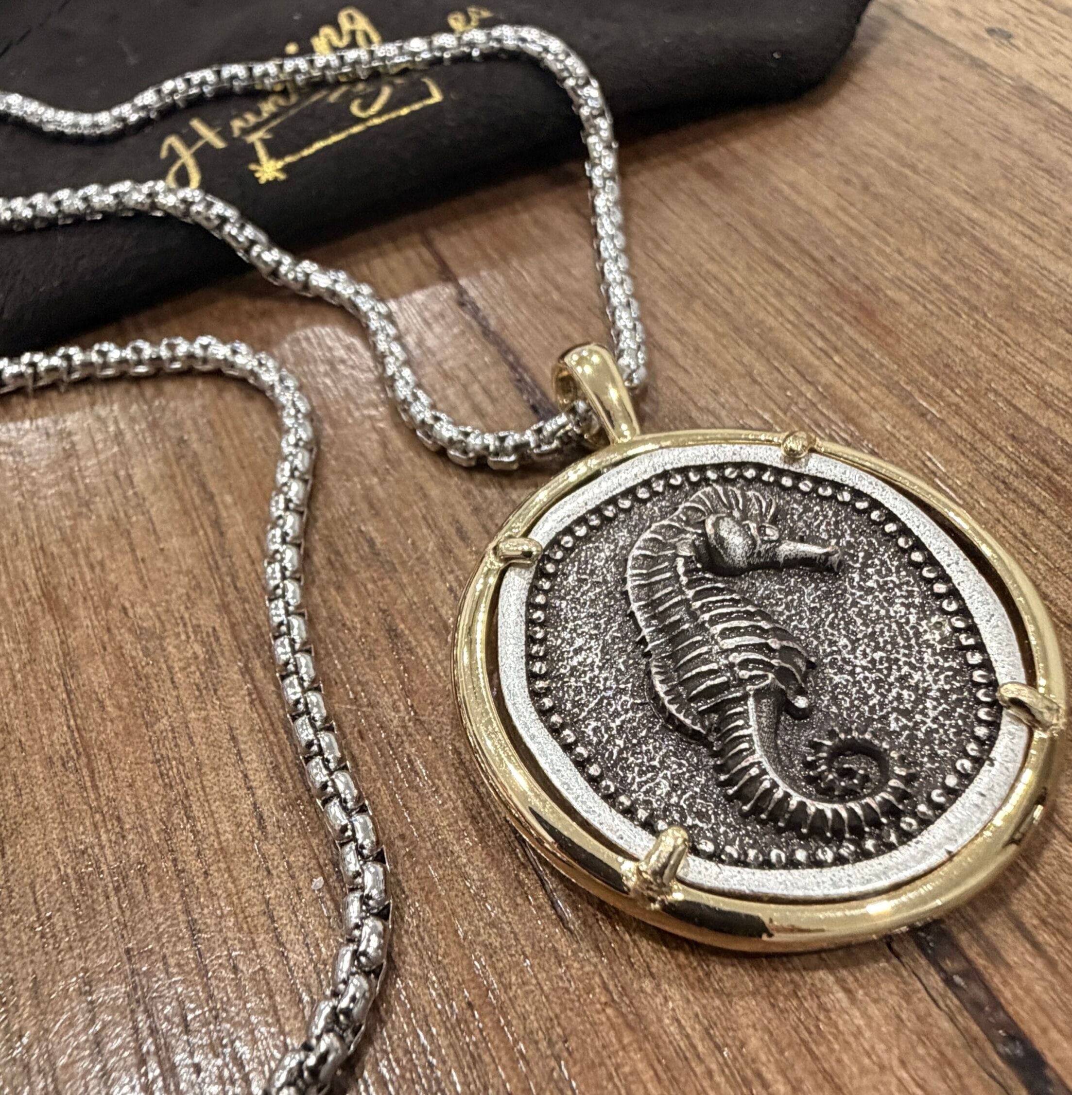 Unisex Seahorse Coin Necklace - Protection Unconditional Love Good Fortune 30mm - Stainless Steel Chain