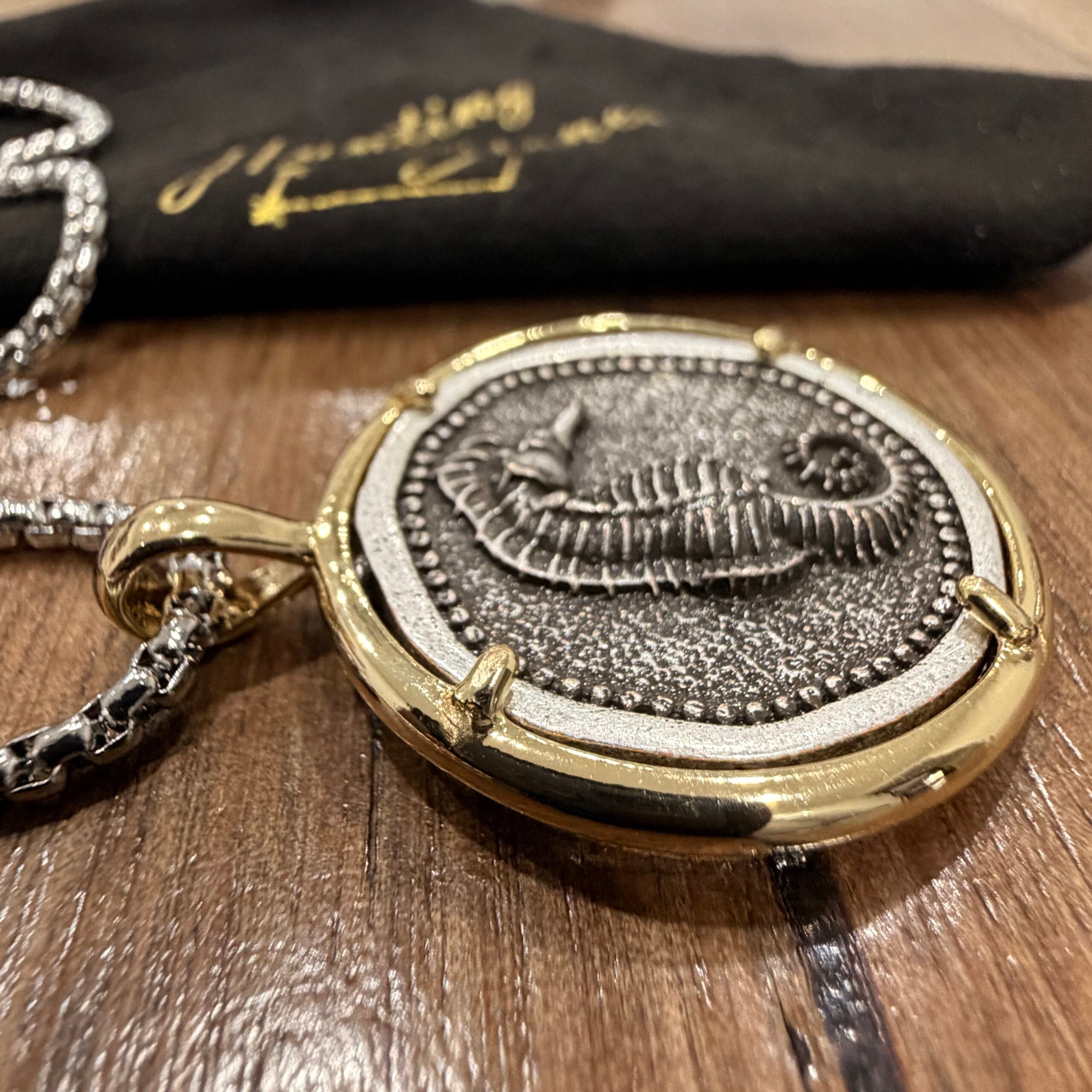 Unisex Seahorse Coin Necklace - Protection Unconditional Love Good Fortune 30mm - Stainless Steel Chain