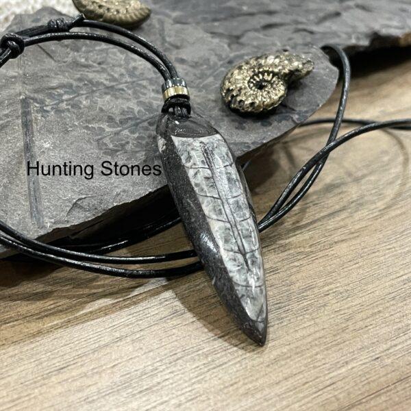Orthoceras necklace hotsell