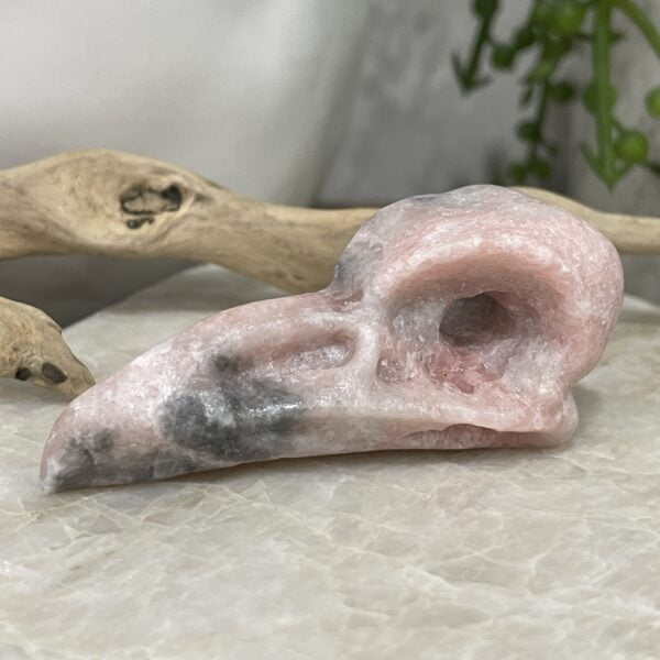 Beautiful Rose Jasper Crystal Raven Skull - 65mm 01
