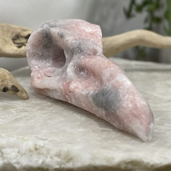 Beautiful Rose Jasper Crystal Raven Skull - 65mm 01