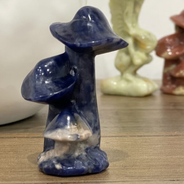 Beautiful Sodalite Mushroom Trio - 60mm 01