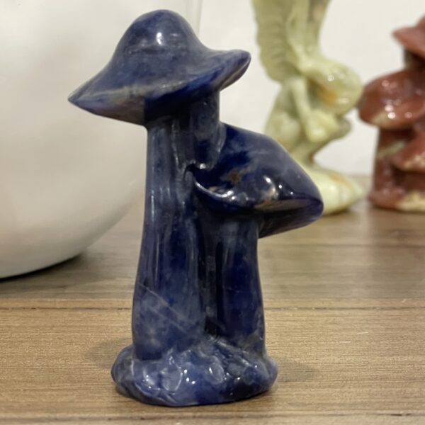Beautiful Sodalite Mushroom Trio - 60mm 01