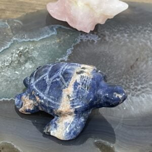 Beautiful Sodalite Turtle - 60mm 01