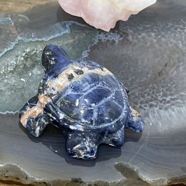 Beautiful Sodalite Turtle - 60mm 01