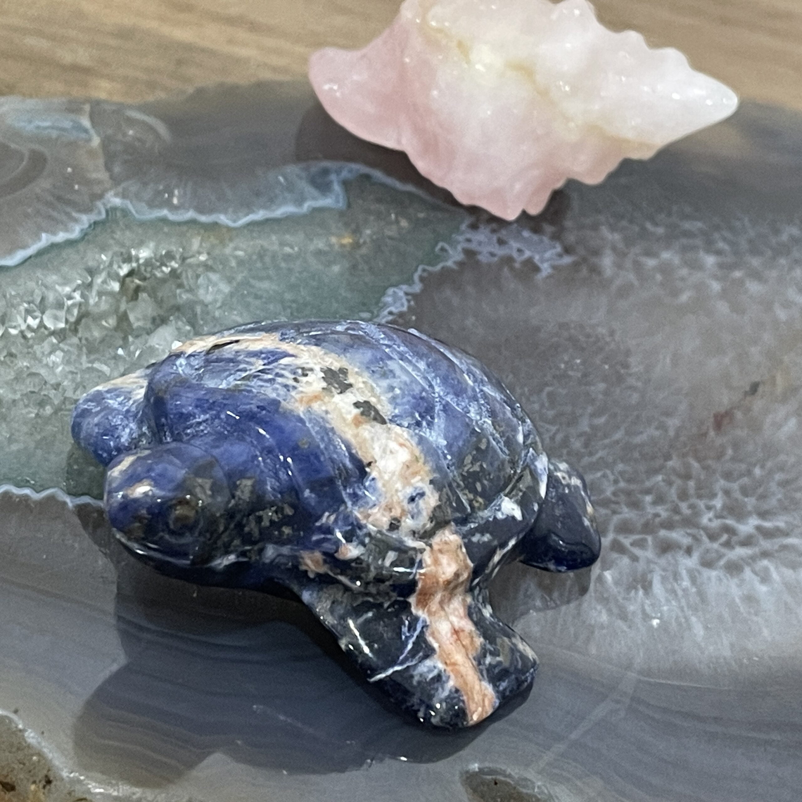 Beautiful Sodalite Crystal Turtle - 60mm 01 - Image 4