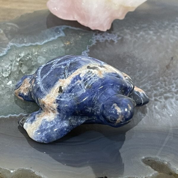 Beautiful Sodalite Turtle - 60mm 01