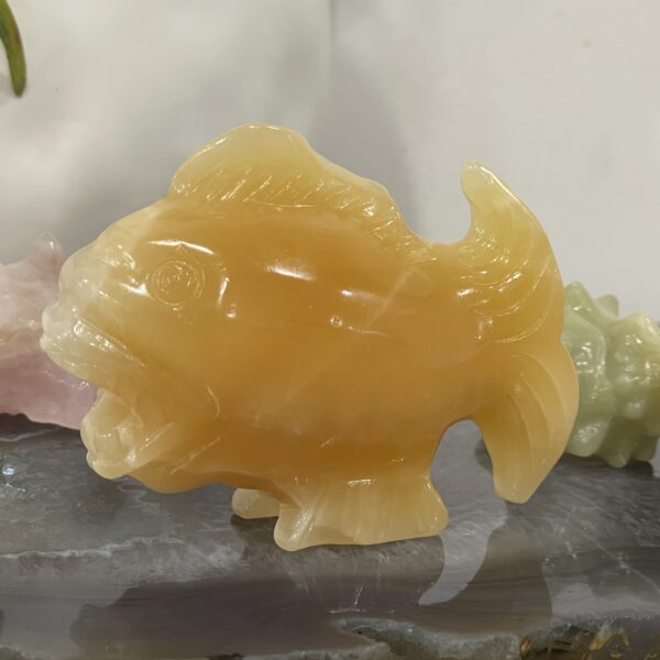 Beautiful Orange Calcite Fish - 79 x 59mm 01