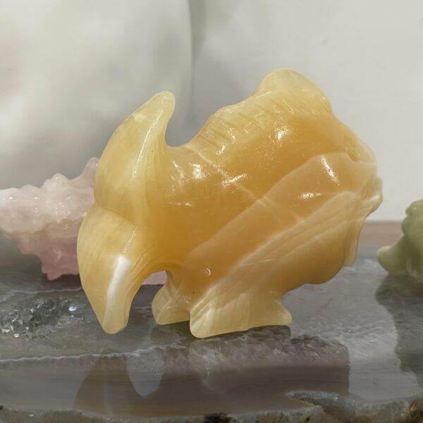 Beautiful Orange Calcite Fish - 79 x 59mm 01