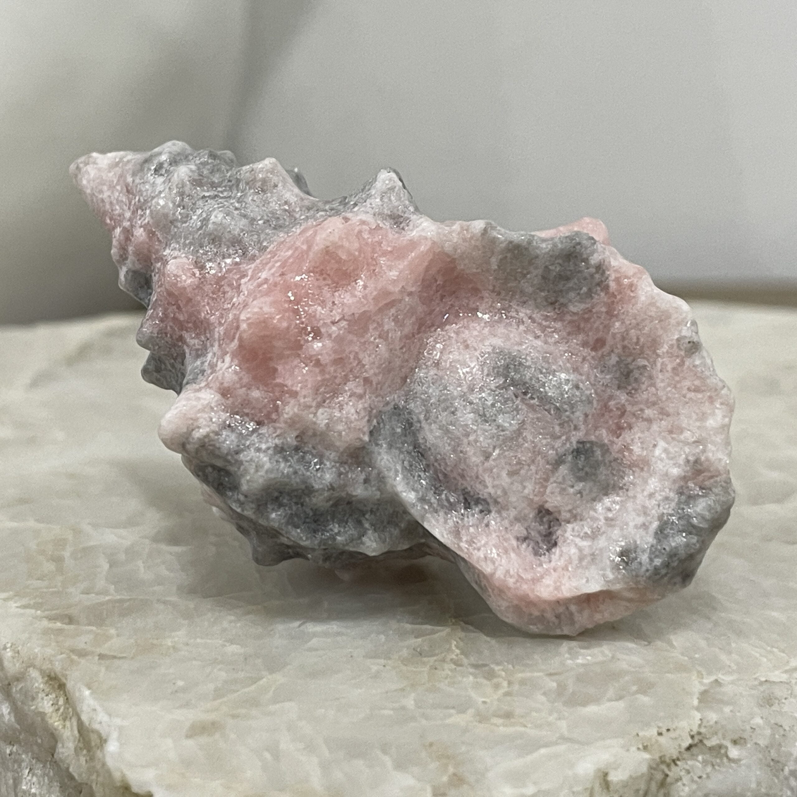 Beautiful Rose Jasper Crystal Sea Shell - 59mm 01 - Image 3