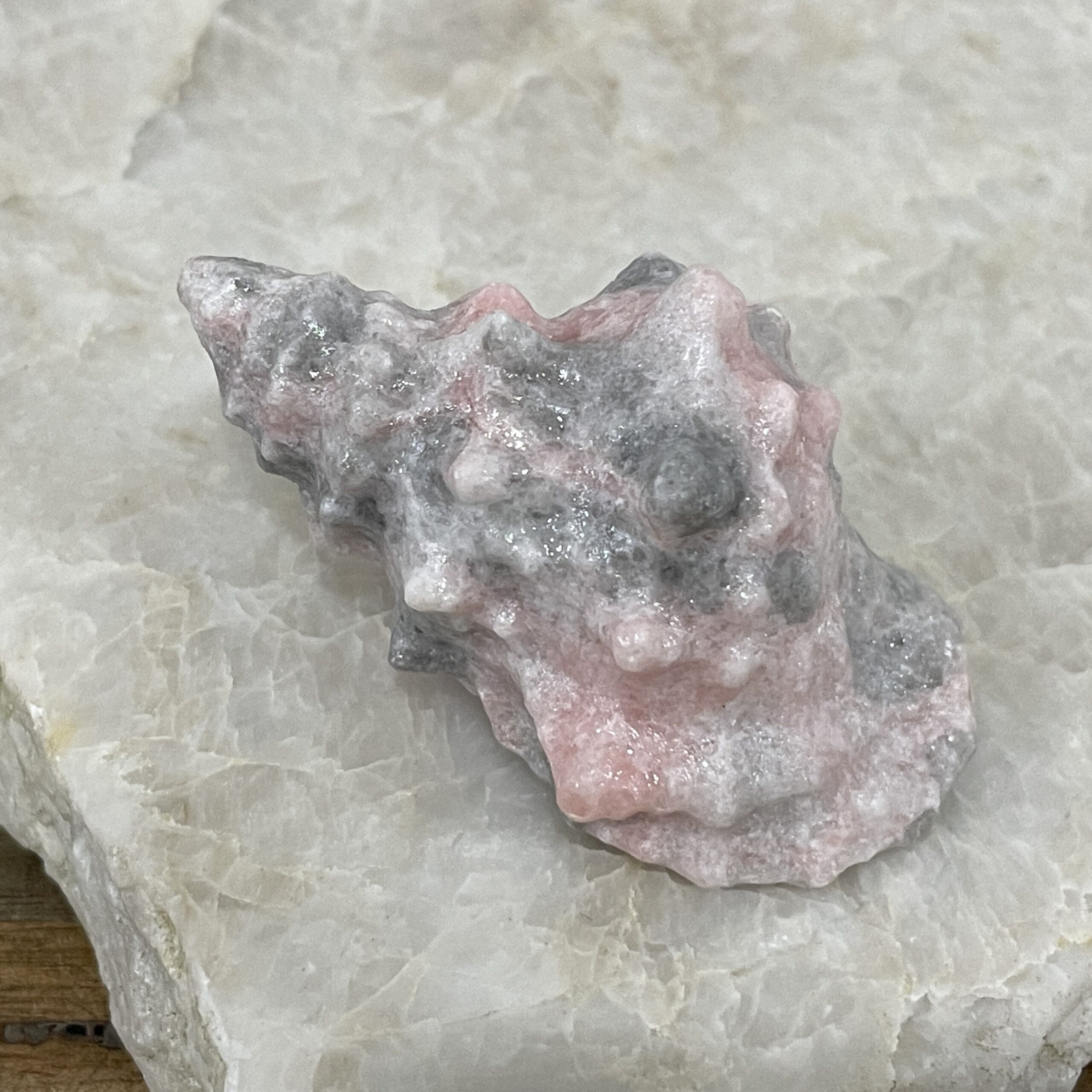 Beautiful Rose Jasper Sea Shell - 59mm 01