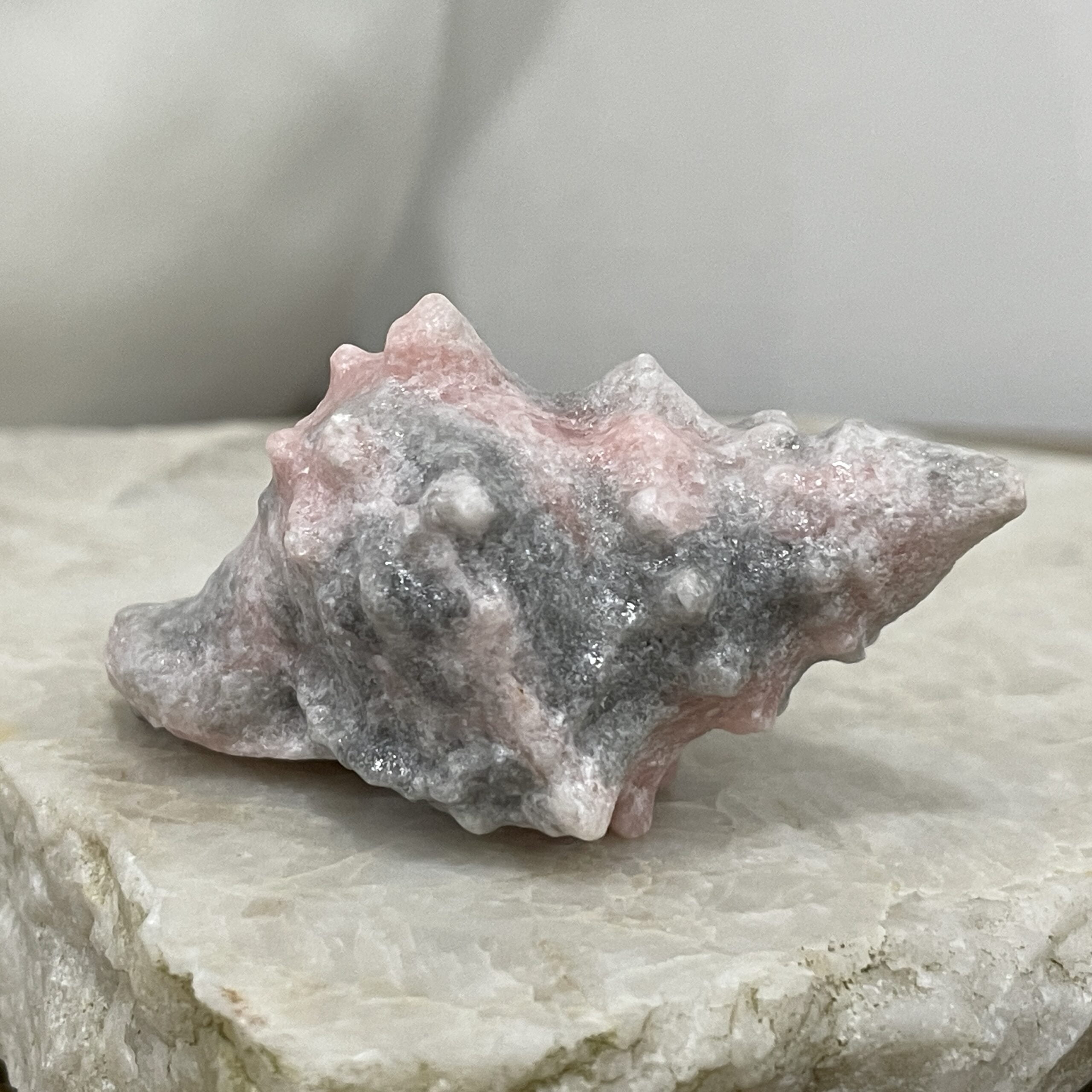 Beautiful Rose Jasper Sea Shell - 59mm 01