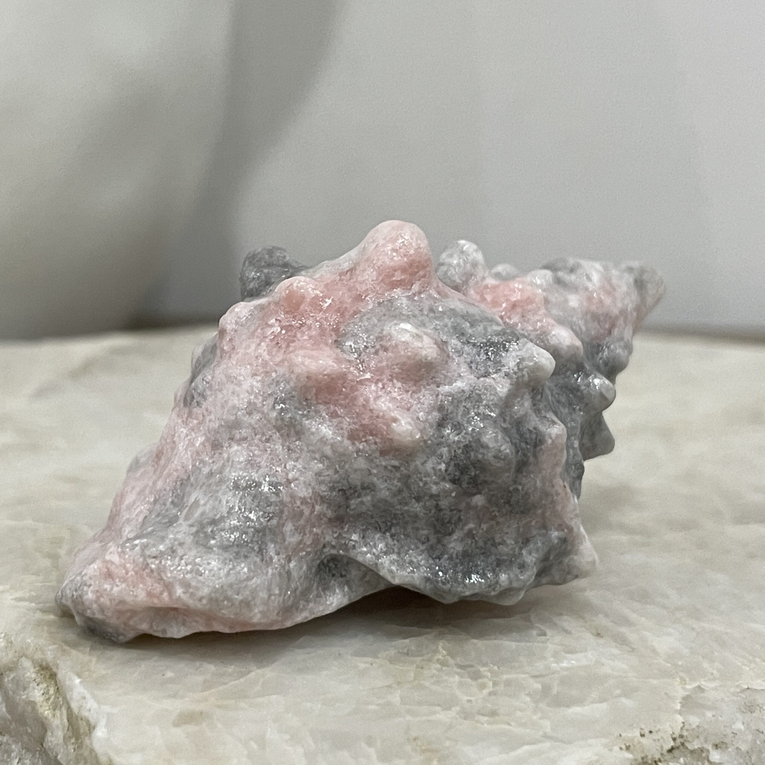 Beautiful Rose Jasper Crystal Sea Shell - 59mm 01 - Image 6