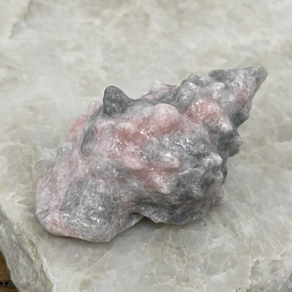 Beautiful Rose Jasper Sea Shell - 59mm 01