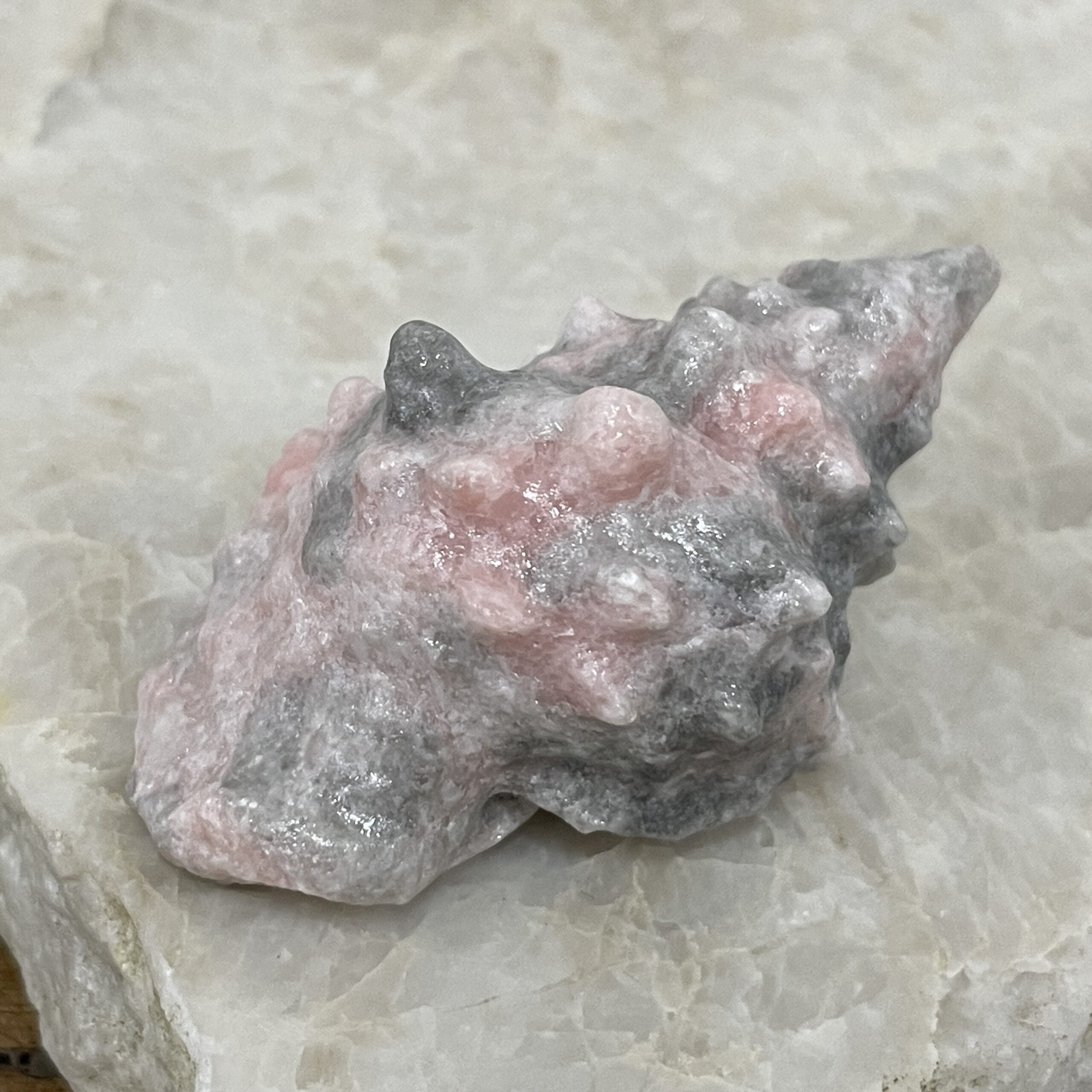 Beautiful Rose Jasper Sea Shell - 59mm 01