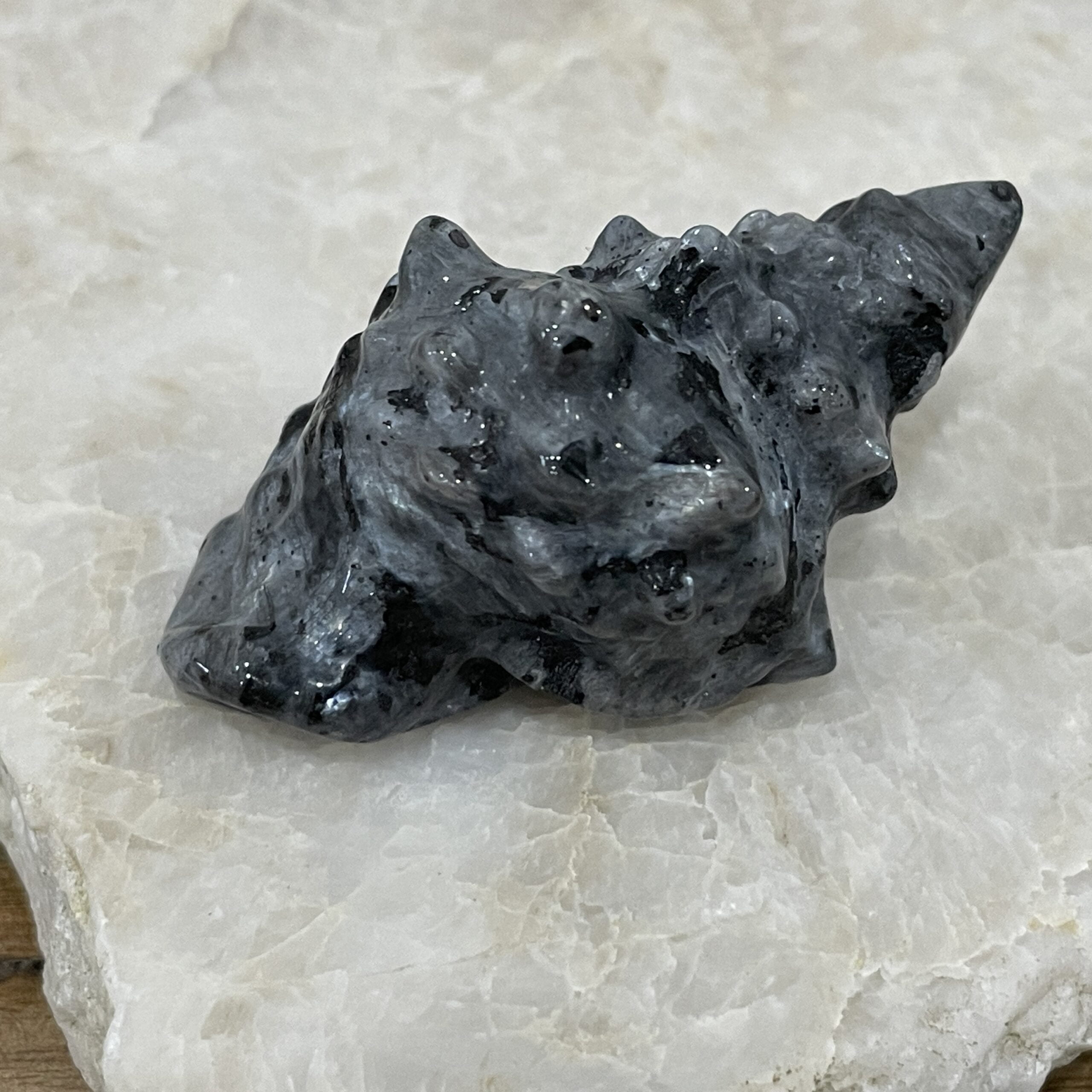 Beautiful Spectrolite Sea Shell - 59mm 01