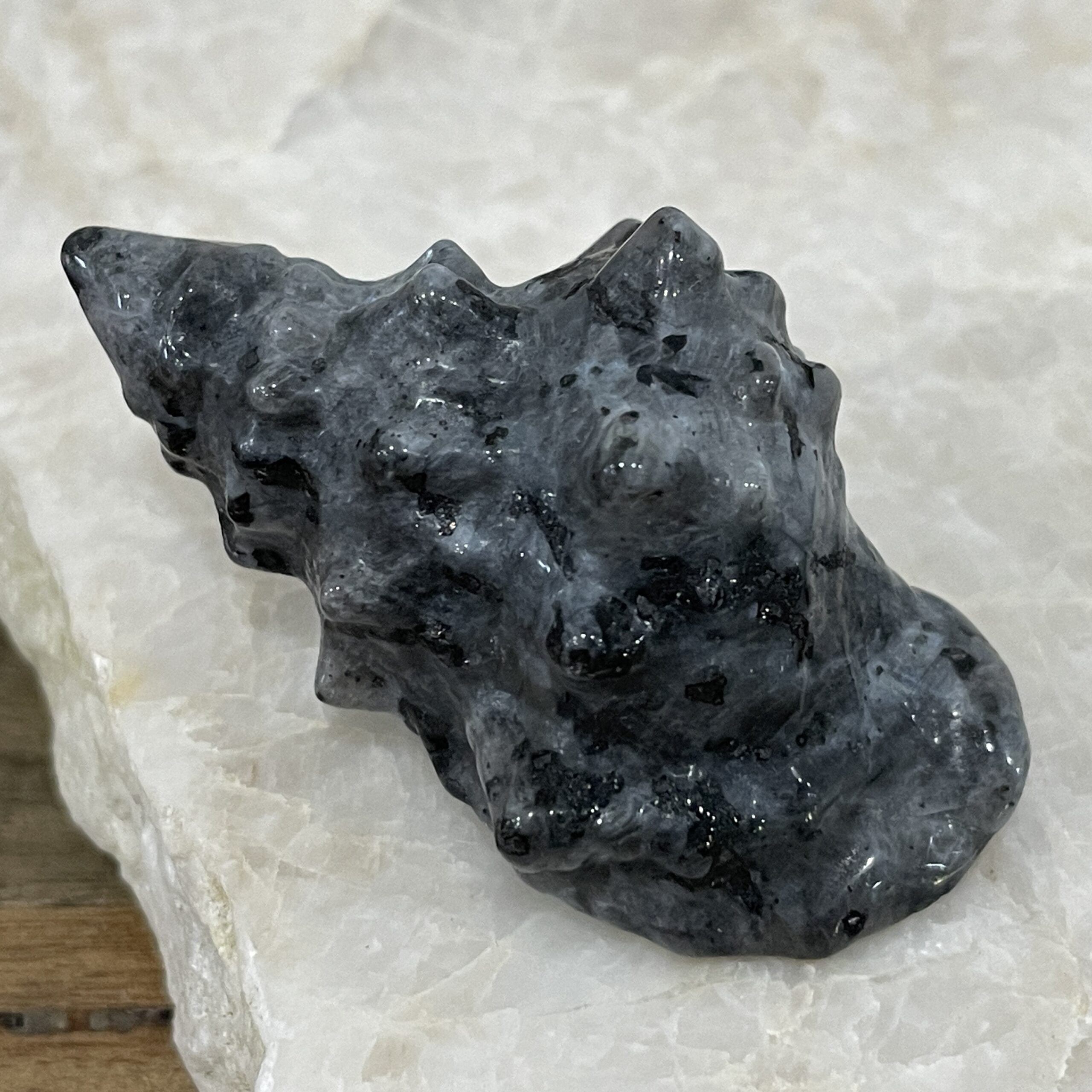 Beautiful Spectrolite Sea Shell - 59mm 01