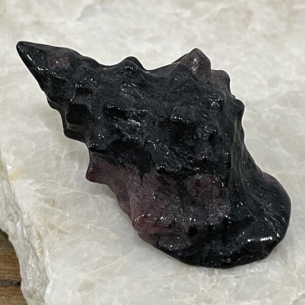 Beautiful Garnet Sea Shell - 59mm 01