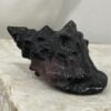 Beautiful Garnet Sea Shell - 59mm 01