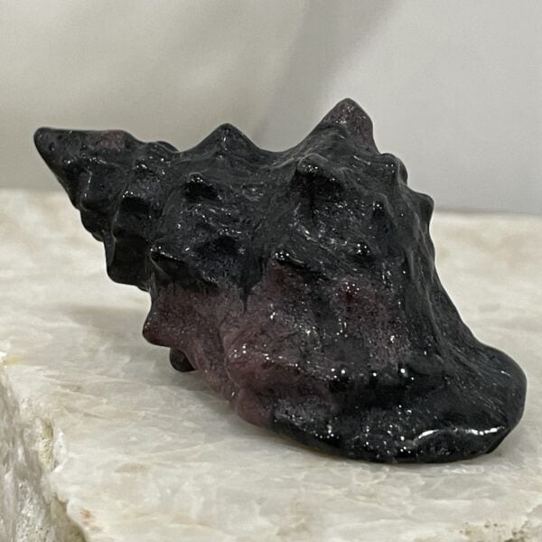 Beautiful Garnet Sea Shell - 59mm 01