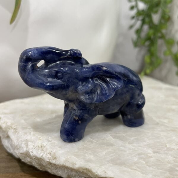 Beautiful Sodallite Elephant - 58mm 01 - Luck