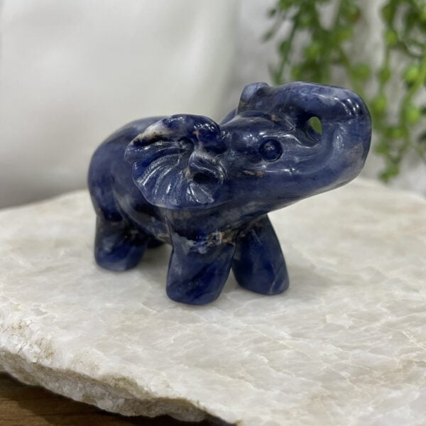 Beautiful Sodallite Elephant - 58mm 01 - Luck