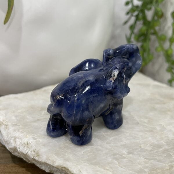 Beautiful Sodallite Elephant - 58mm 01 - Luck