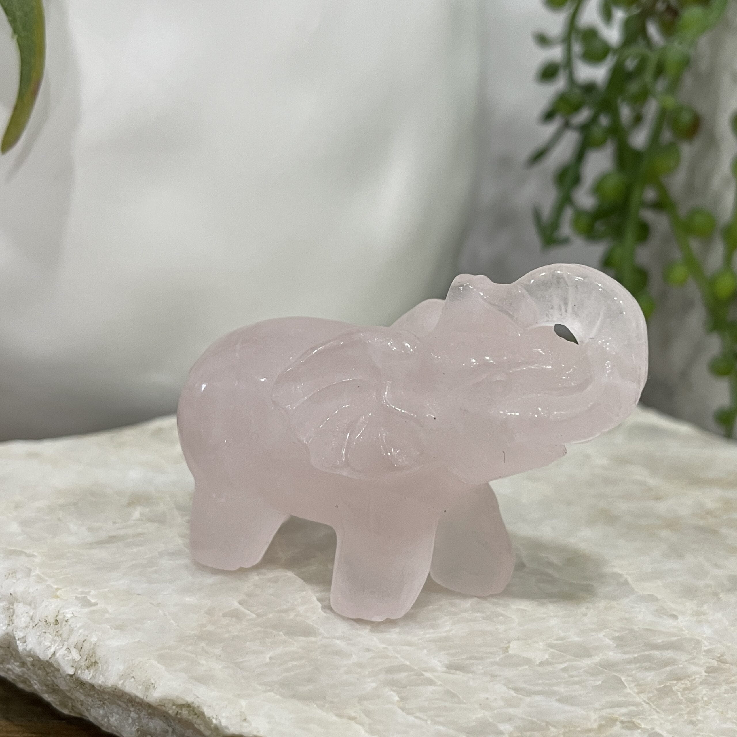 Beautiful Rose Quartz Elephant - 59mm 01 - Luck