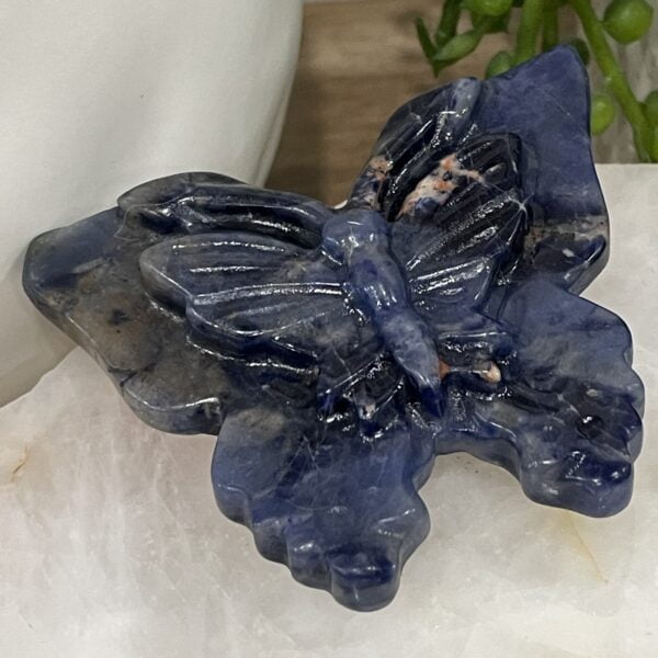 Beautiful Sodalite Crystal Butterfly - 69mm 01