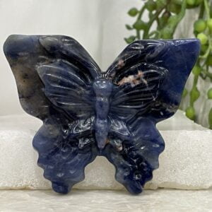 Beautiful Sodalite Crystal Butterfly - 69mm 01