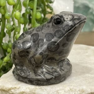 Beautiful Leopard Jasper Crystal Frog - 60mm 01AE