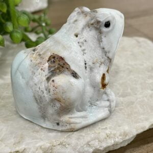 Beautiful Amazonite Crystal Frog - 60mm 01AE