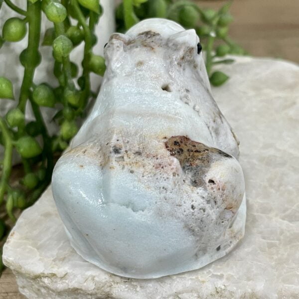 Beautiful Amazonite Crystal Frog - 60mm 01AE