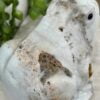 Beautiful Amazonite Crystal Frog - 60mm 01AE