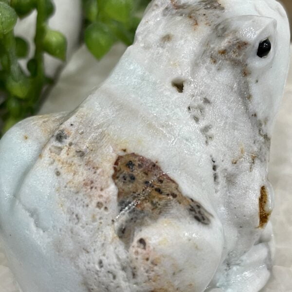 Beautiful Amazonite Crystal Frog - 60mm 01AE