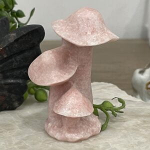 Beautiful Pink Jasper Crystal Mushroom Trio - 60mm 02
