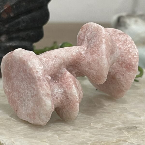 Beautiful Pink Jasper Crystal Mushroom Trio - 6cm 03