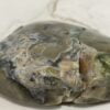 Beautiful Blue Volcanic Agate Crystal Point - 7.4cm 01